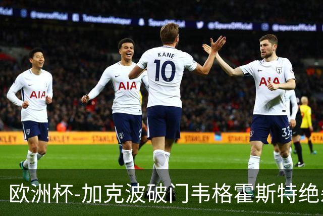 欧洲杯-加克波破门韦格霍斯特绝杀 荷兰2-1波兰