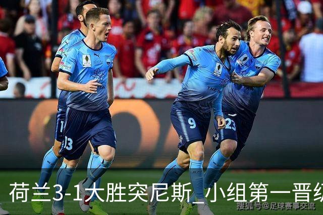 荷兰3-1大胜突尼斯 小组第一晋级淘汰赛将战摩洛哥